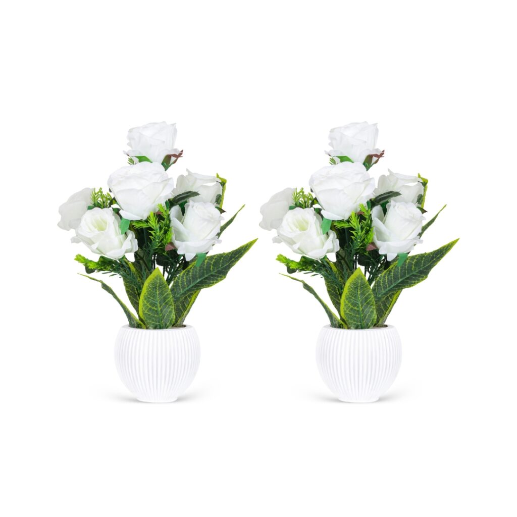 Small pot White Roses