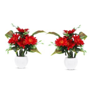 Small pot red sunflower